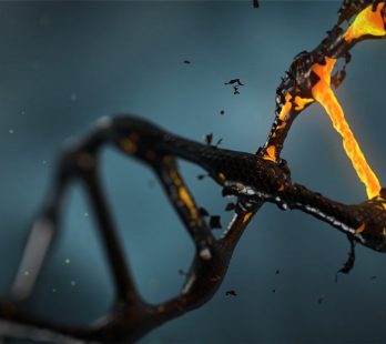Rna-dna