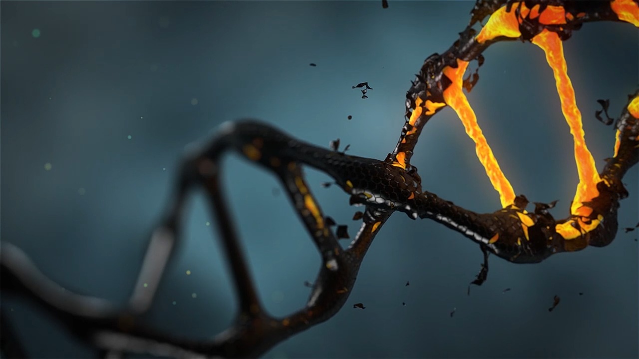 Rna-dna