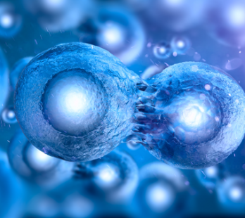 Testes genéticos em embriões para fertilizações in vitro
