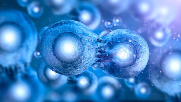 Testes genéticos em embriões para fertilizações in vitro